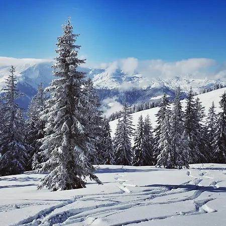 Janita Xl Appartamento Westendorf