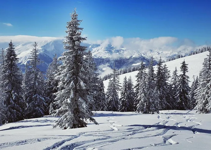 Janita Xl Apartmán Westendorf